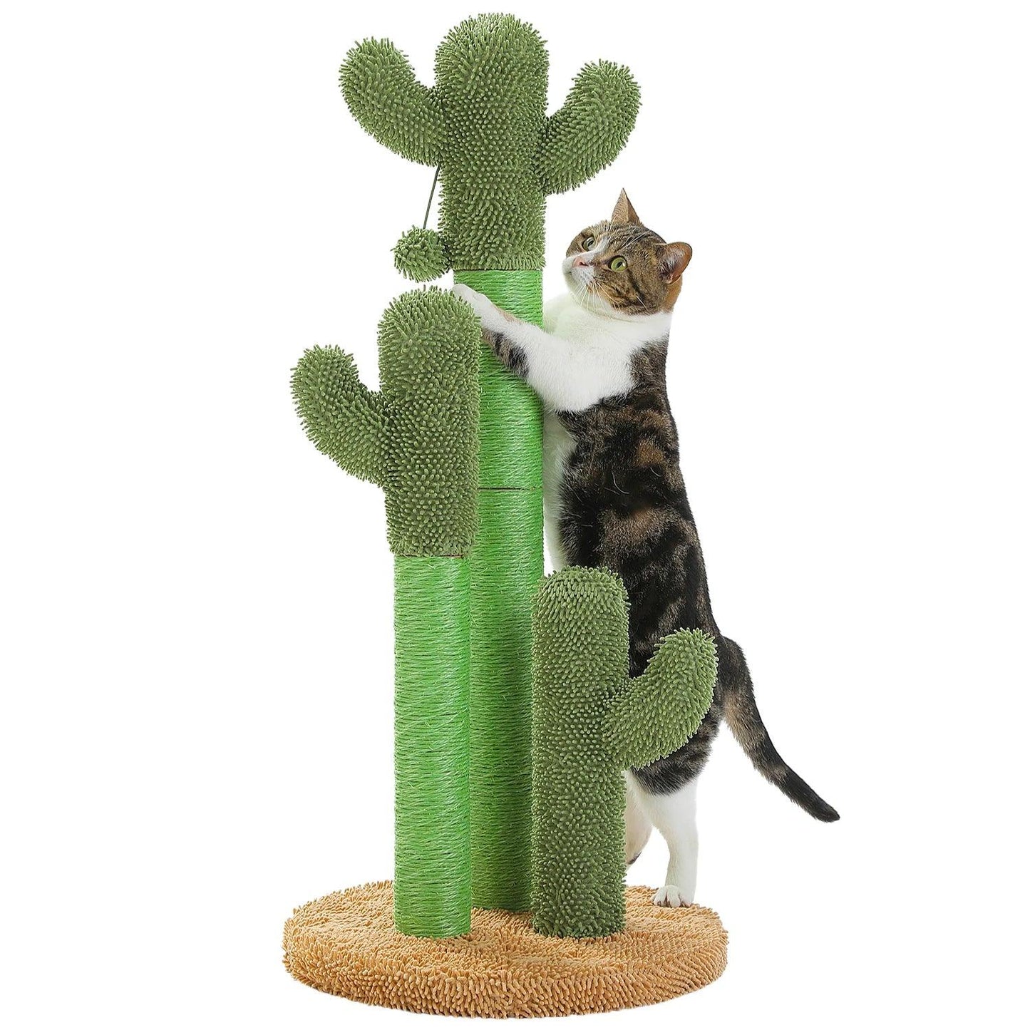 Kaktus-Katzenkratzbaum mit interaktivem baumelnden Ball | Haustierfreundliches Katzenkratzmöbel