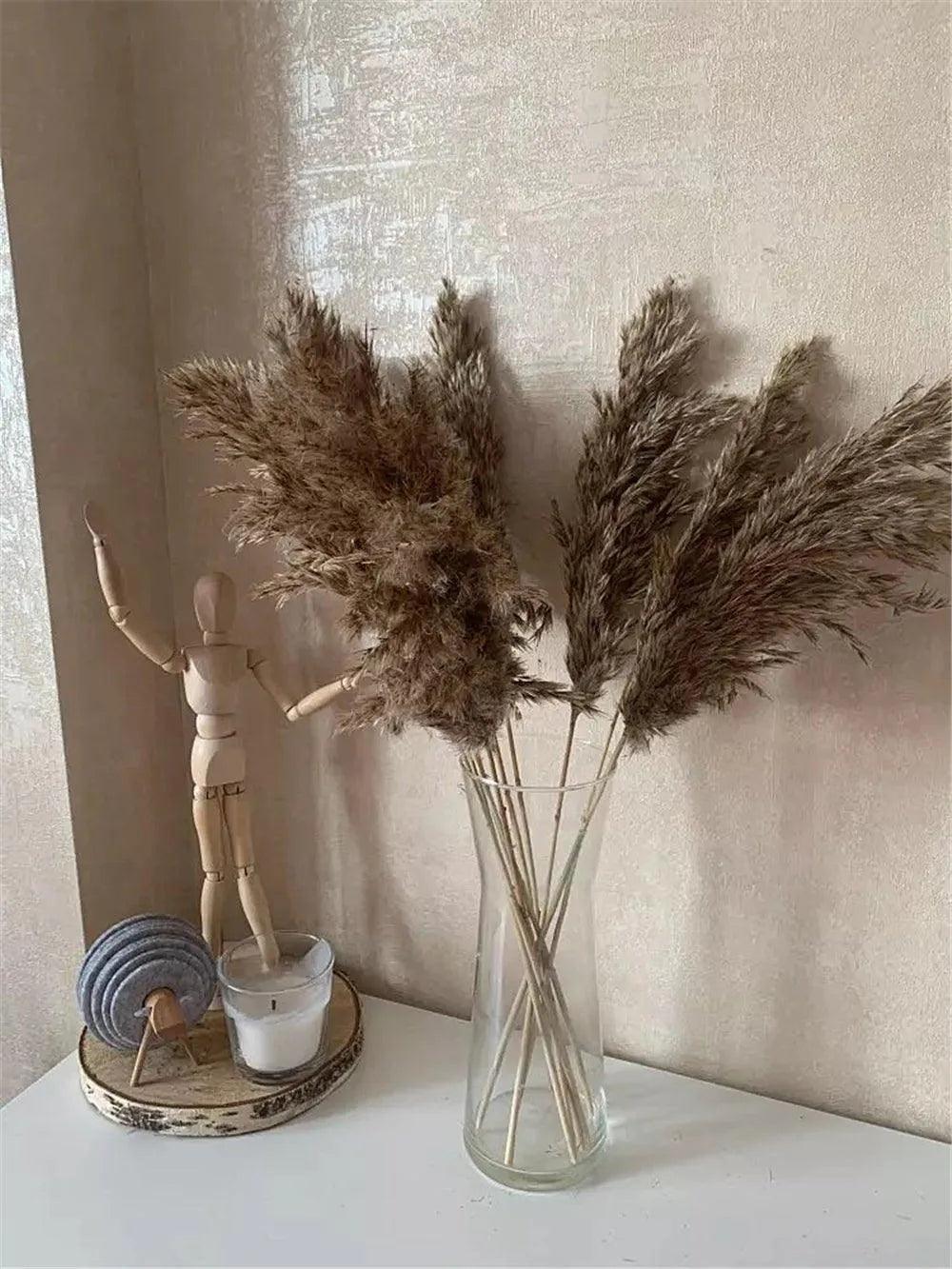 60cm Natural Real Brown Beige Dried Pampas Grass Bouquet │ Fluffy Feather For Modern Boho Home Decoration Ornament - Besontique Home