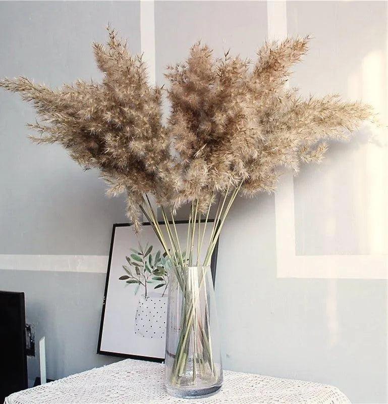 60cm Natural Real Brown Beige Dried Pampas Grass Bouquet │ Fluffy Feather For Modern Boho Home Decoration Ornament - Besontique Home