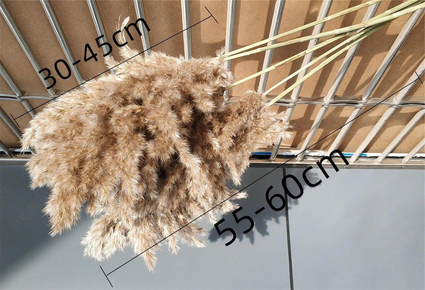 60cm Natural Real Brown Beige Dried Pampas Grass Bouquet │ Fluffy Feather For Modern Boho Home Decoration Ornament - Besontique Home