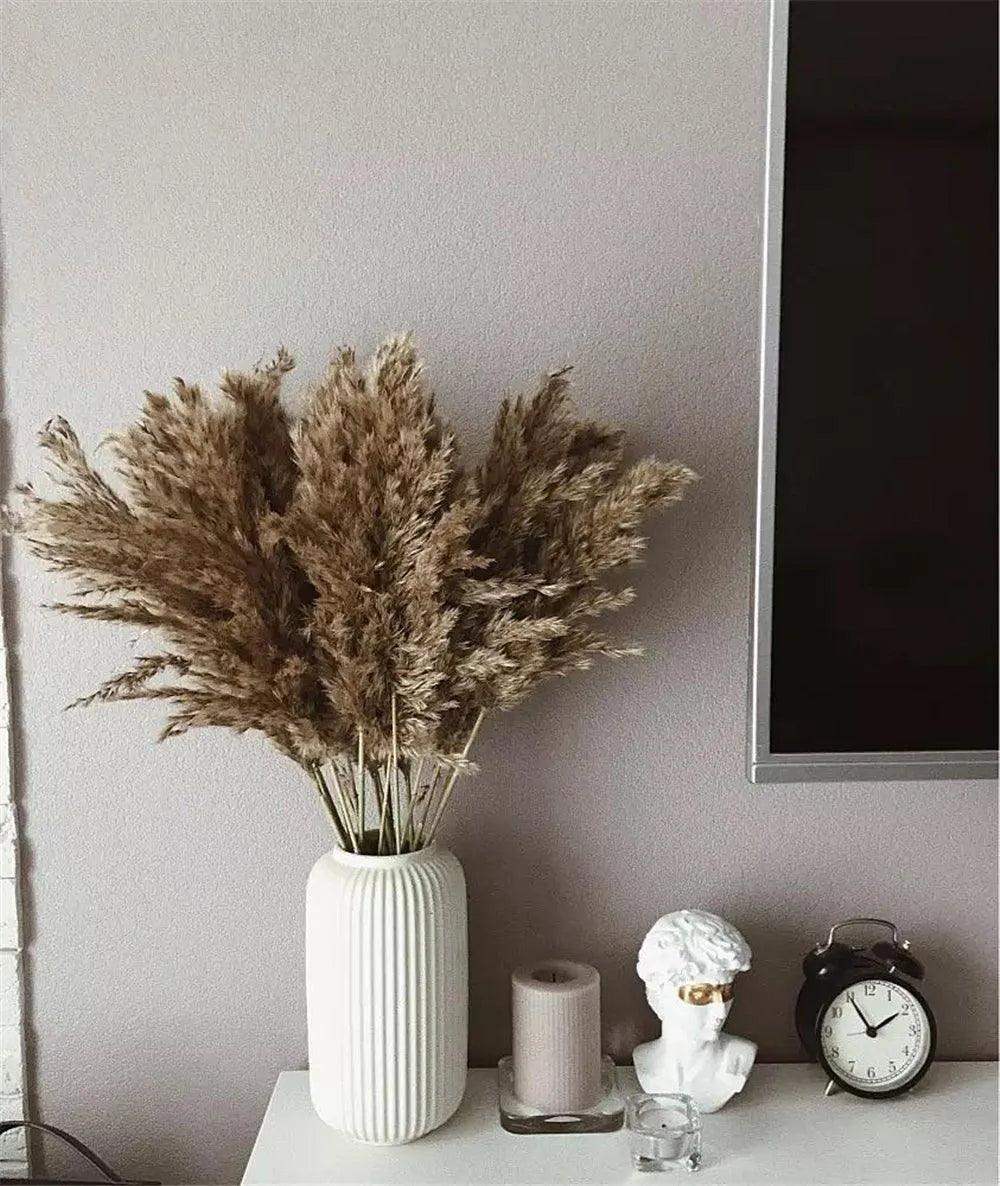 60cm Natural Real Brown Beige Dried Pampas Grass Bouquet │ Fluffy Feather For Modern Boho Home Decoration Ornament - Besontique Home
