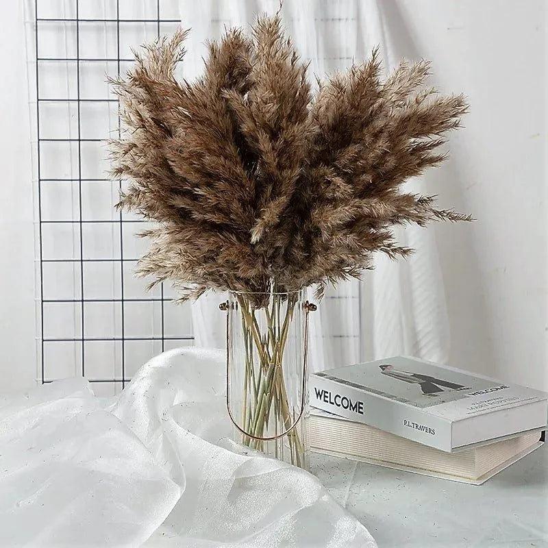 60cm Natural Real Brown Beige Dried Pampas Grass Bouquet │ Fluffy Feather For Modern Boho Home Decoration Ornament - Besontique Home