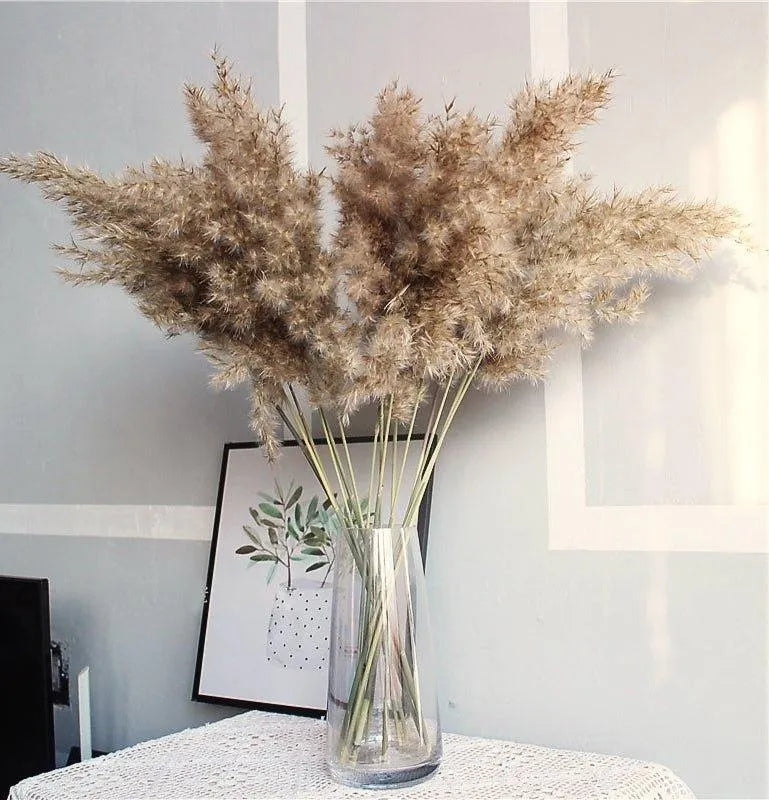 60cm Natural Real Brown Beige Dried Pampas Grass Bouquet │ Fluffy Feather For Modern Boho Home Decoration Ornament - Besontique Home