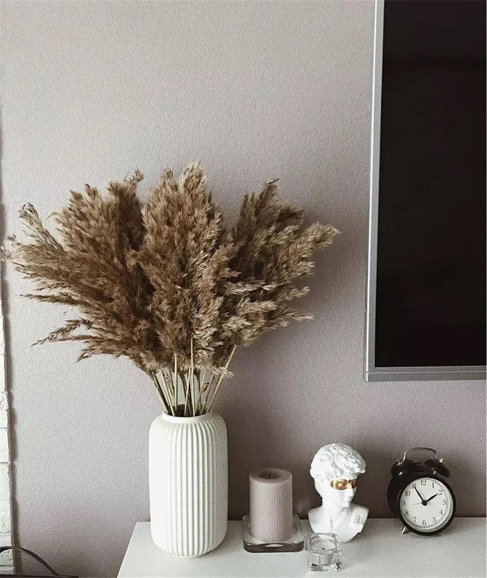 60cm Natural Real Brown Beige Dried Pampas Grass Bouquet │ Fluffy Feather For Modern Boho Home Decoration Ornament - Besontique Home