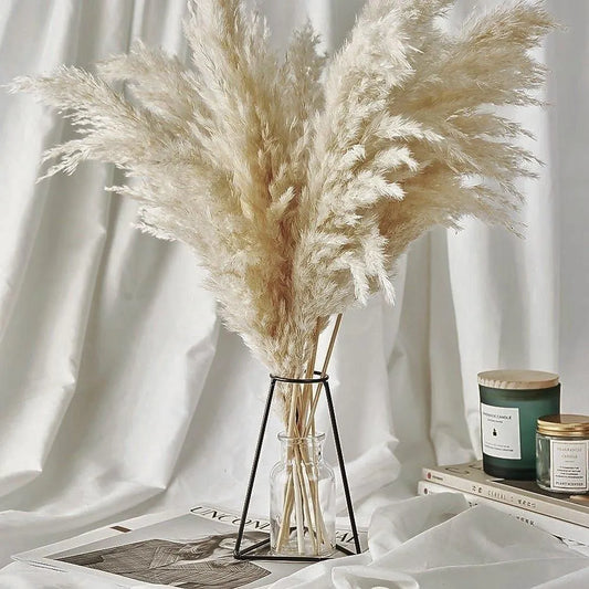 60cm Real Cream White Dried Pampas Grass Bouquet │ Fluffy Feather For Modern Boho Home Decoration Ornament - Besontique Home