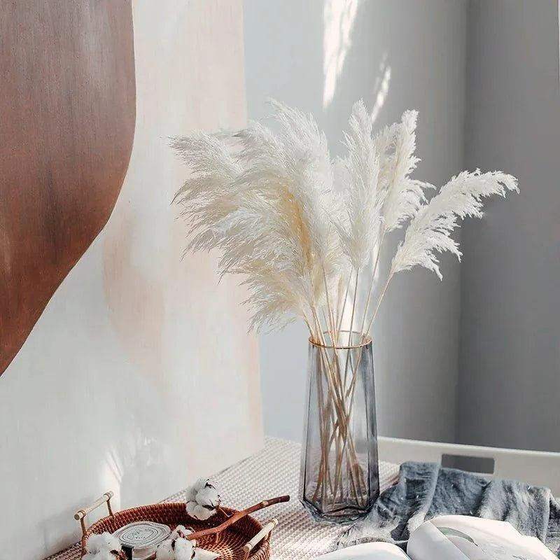 60cm Real Cream White Dried Pampas Grass Bouquet │ Fluffy Feather For Modern Boho Home Decoration Ornament - Besontique Home