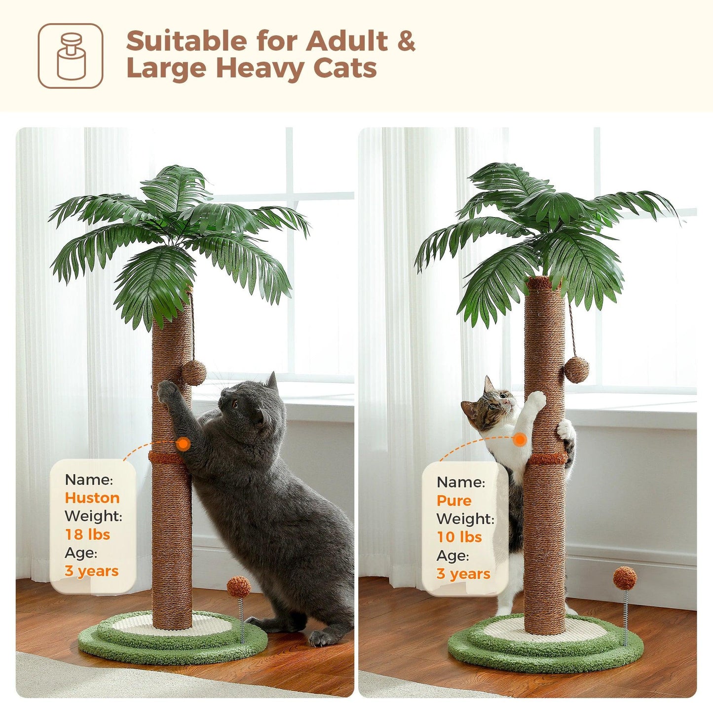 Arbre à chat tropical en sisal avec boule suspendue | Jouet griffoir pour chat adapté aux animaux