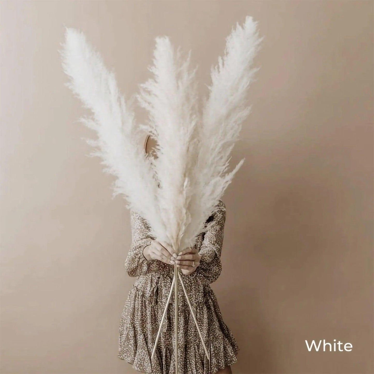 80 cm Natural Real Dried Pampas Grass Bouquet (White / Beige / Gray) │ Fluffy Feather For Modern Boho Home Decoration Ornament - Besontique Home