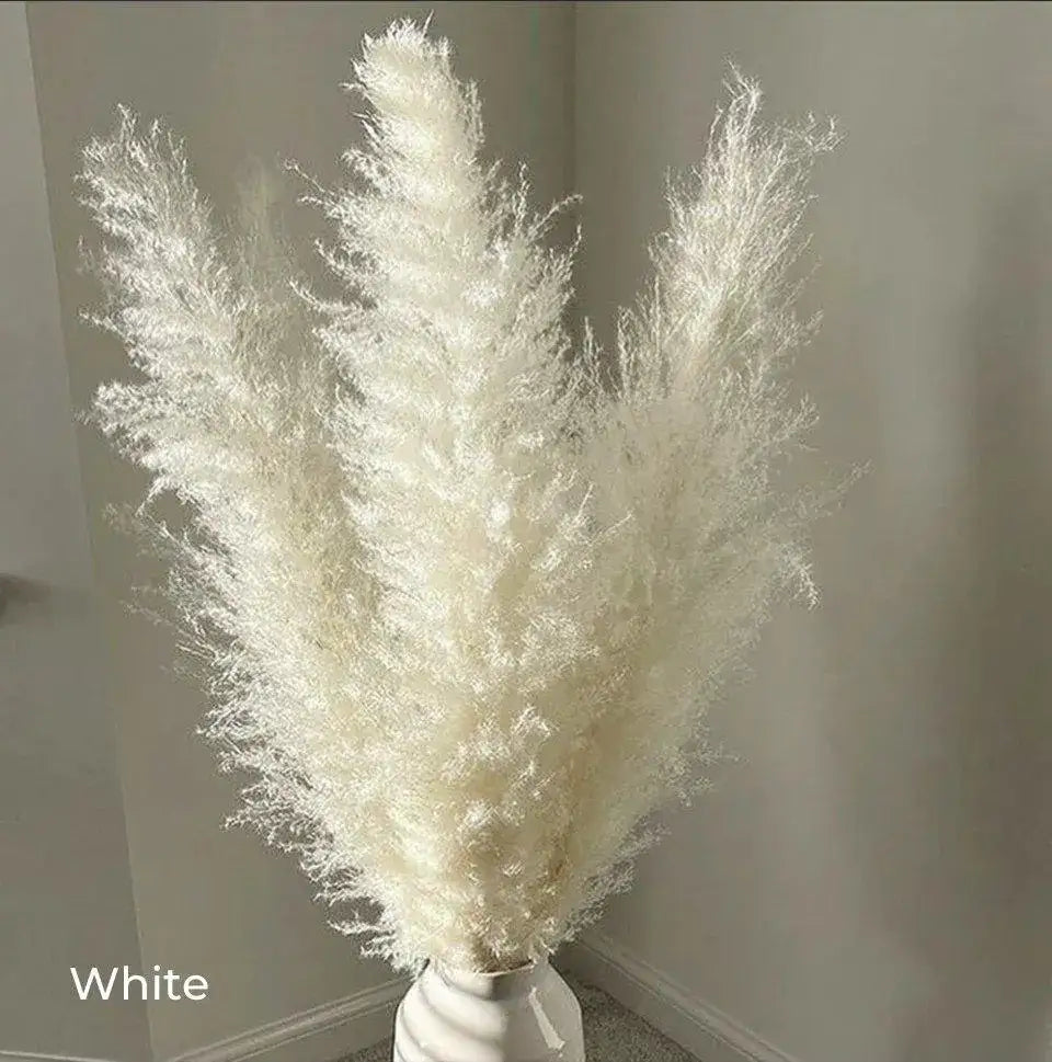 80-cm-natural-real-dried-pampas-grass-bouquet-white-beige-gray-fluffy-feather-for-modern-boho-home-decoration-ornament-besontique-home-15117 - Besontique Home