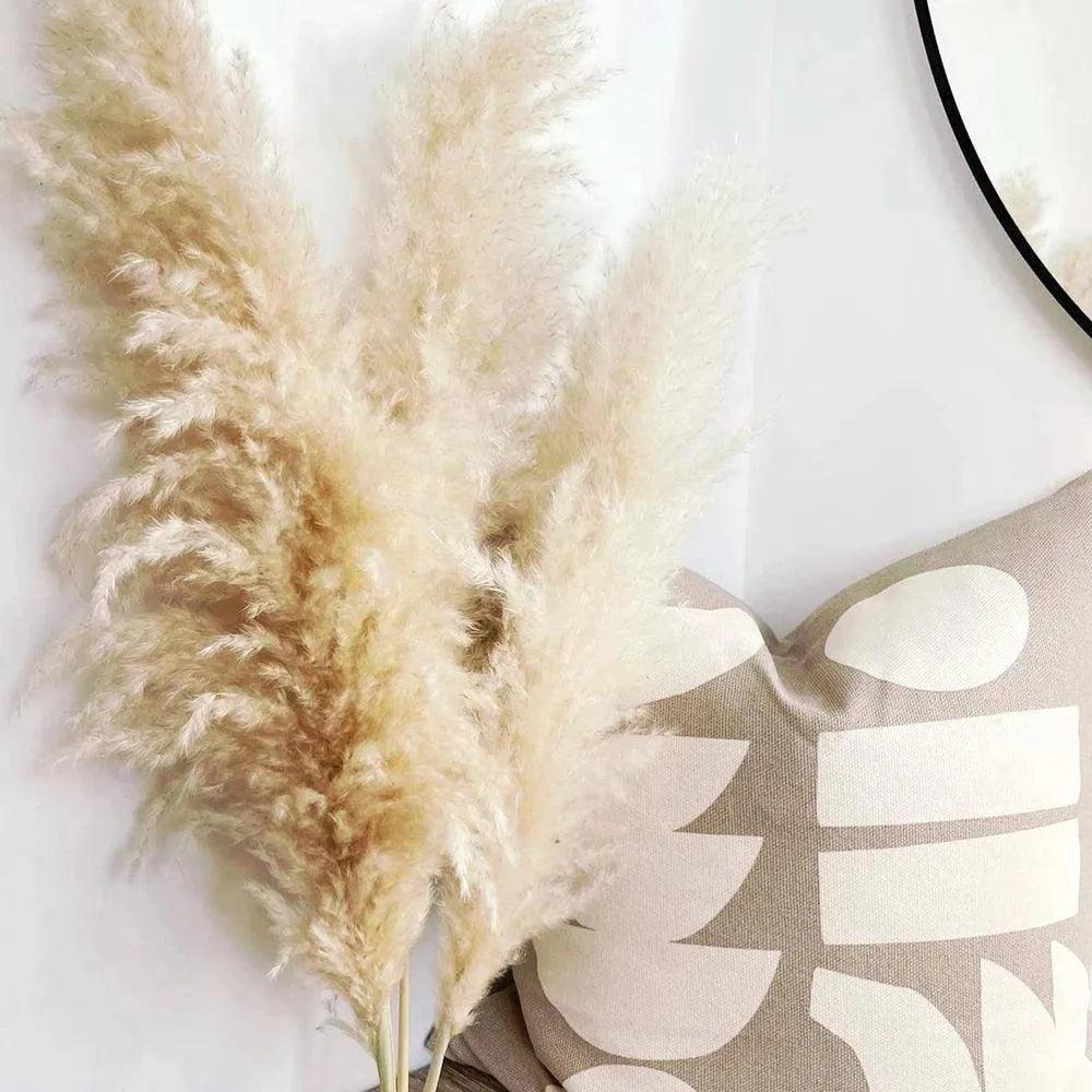 80 cm Natural Real Dried Pampas Grass Bouquet (White / Beige / Gray) │ Fluffy Feather For Modern Boho Home Decoration Ornament - Besontique Home