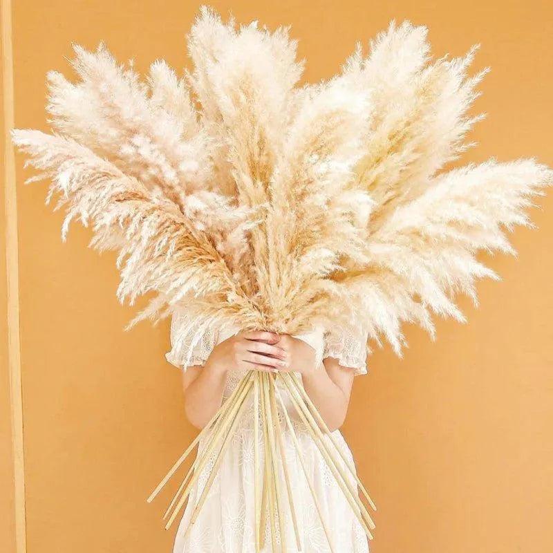 80 cm Natural Real Dried Pampas Grass Bouquet (White / Beige / Gray) │ Fluffy Feather For Modern Boho Home Decoration Ornament - Besontique Home