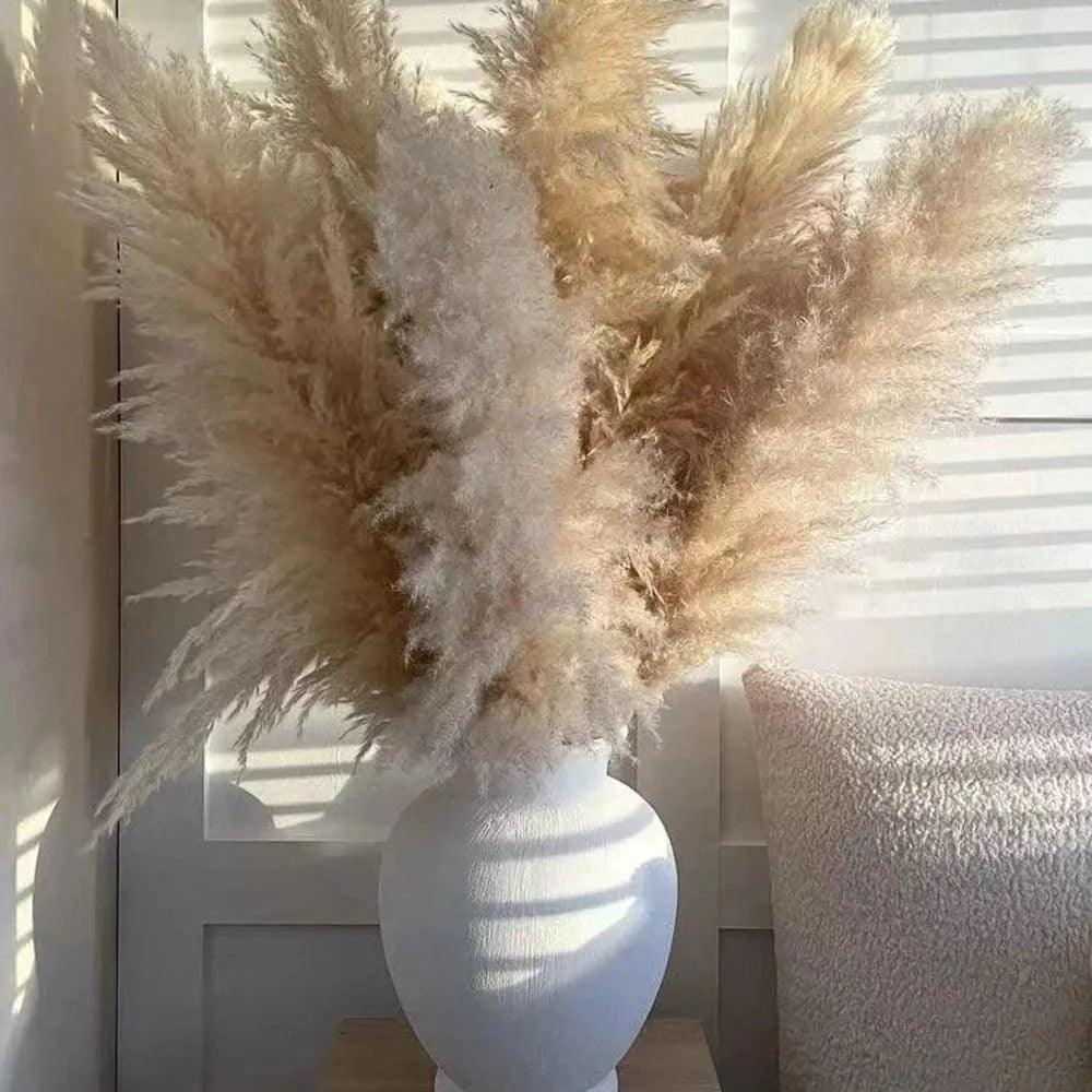 80 cm Natural Real Dried Pampas Grass Bouquet (White / Beige / Gray) │ Fluffy Feather For Modern Boho Home Decoration Ornament - Besontique Home