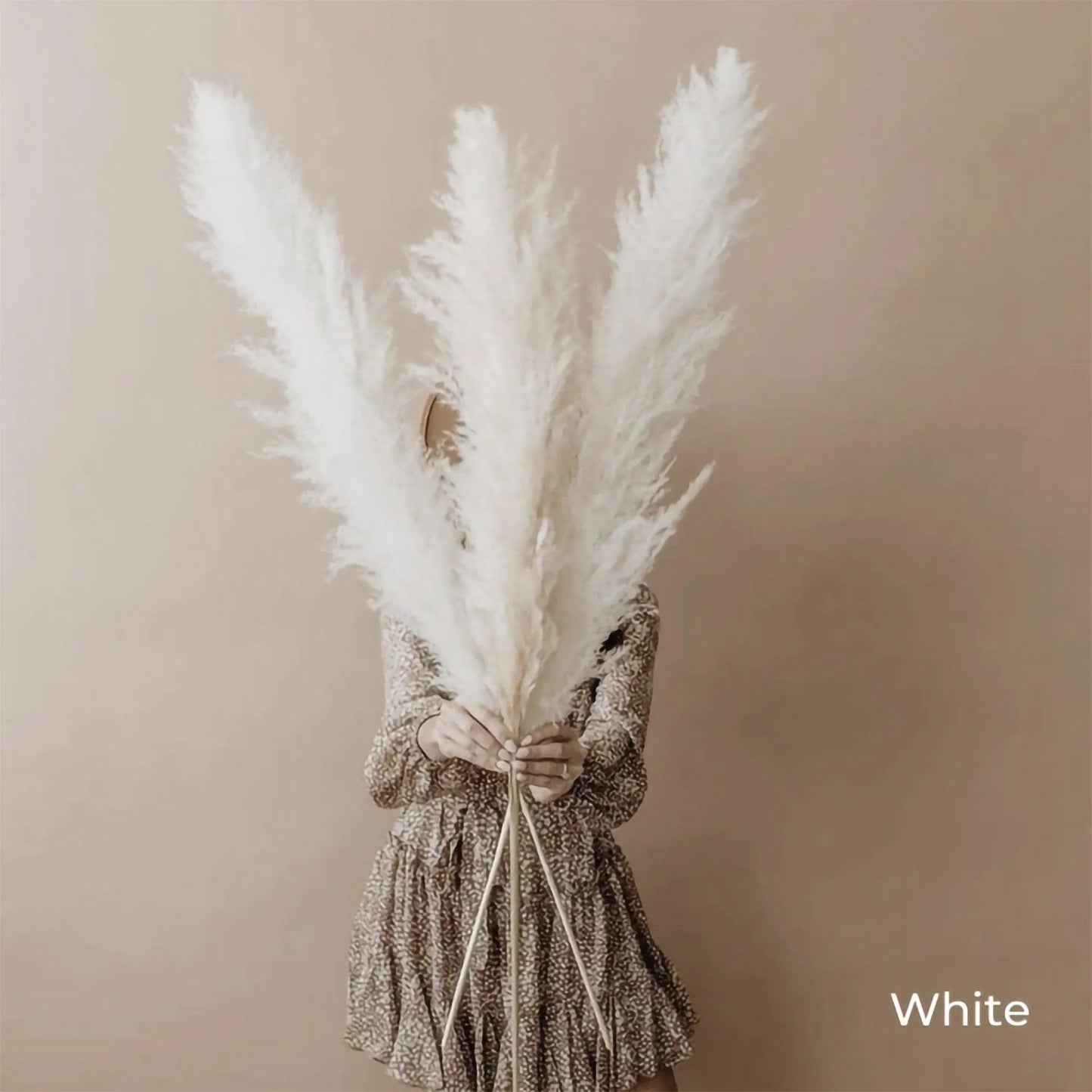 80 cm Natural Real Dried Pampas Grass Bouquet (White / Beige / Gray) │ Fluffy Feather For Modern Boho Home Decoration Ornament - Besontique Home