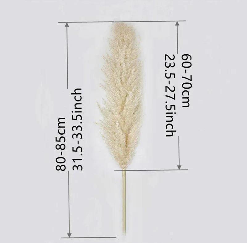 80 cm Natural Real Dried Pampas Grass Bouquet (White / Beige / Gray) │ Fluffy Feather For Modern Boho Home Decoration Ornament - Besontique Home