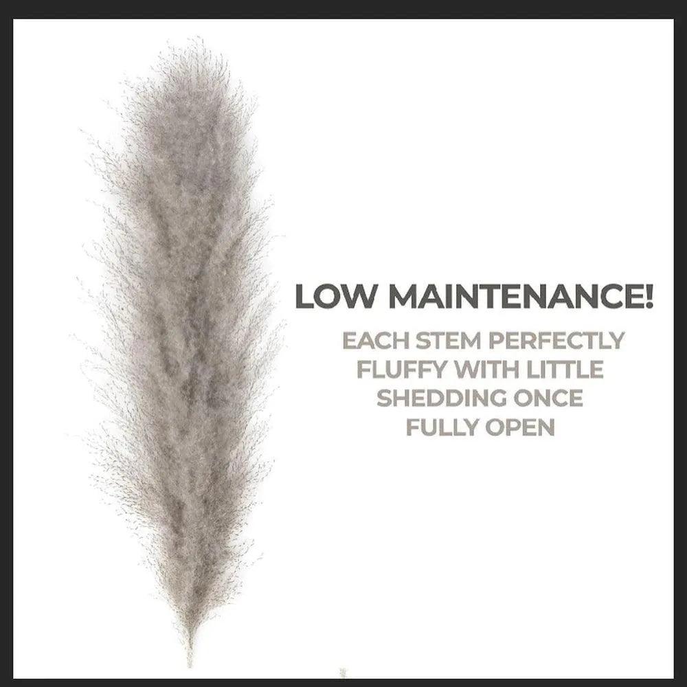 80 cm Natural Real Dried Pampas Grass Bouquet (White / Beige / Gray) │ Fluffy Feather For Modern Boho Home Decoration Ornament - Besontique Home