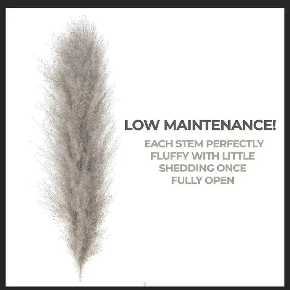 80-cm-natural-real-dried-pampas-grass-bouquet-white-beige-gray-fluffy-feather-for-modern-boho-home-decoration-ornament-besontique-home-50475 - Besontique Home