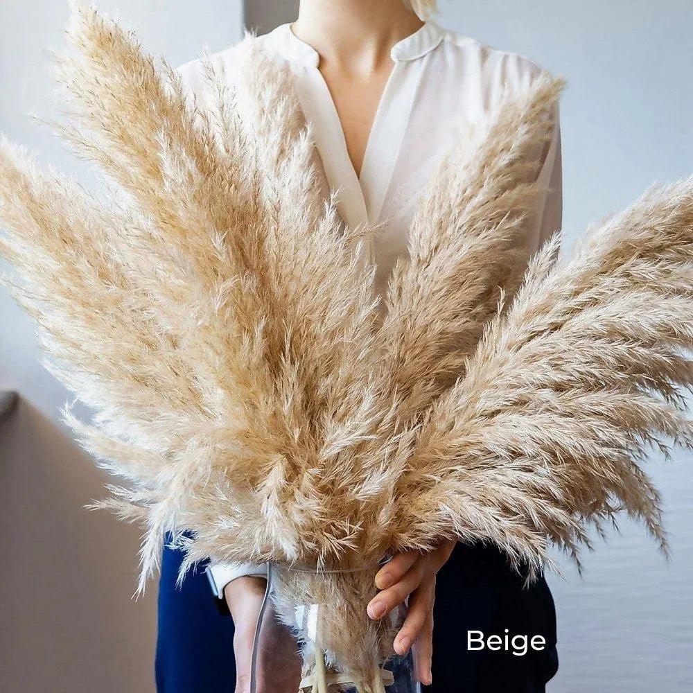 80 cm Natural Real Dried Pampas Grass Bouquet (White / Beige / Gray) │ Fluffy Feather For Modern Boho Home Decoration Ornament - Besontique Home