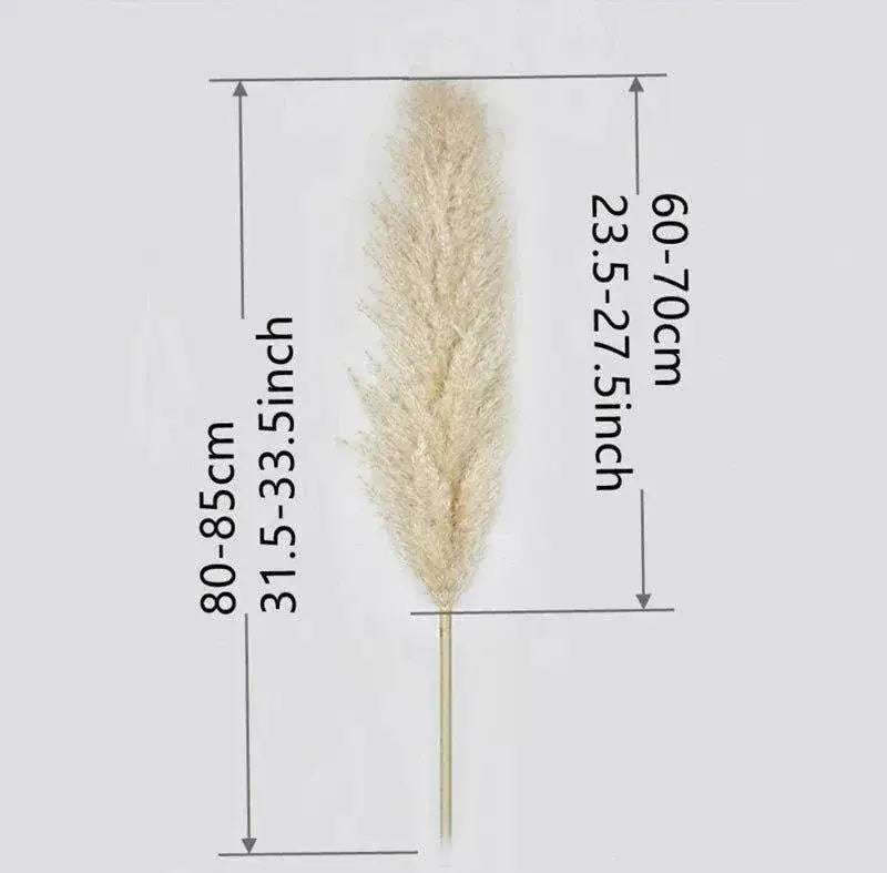 80-cm-natural-real-dried-pampas-grass-bouquet-white-beige-gray-fluffy-feather-for-modern-boho-home-decoration-ornament-besontique-home-70659 - Besontique Home