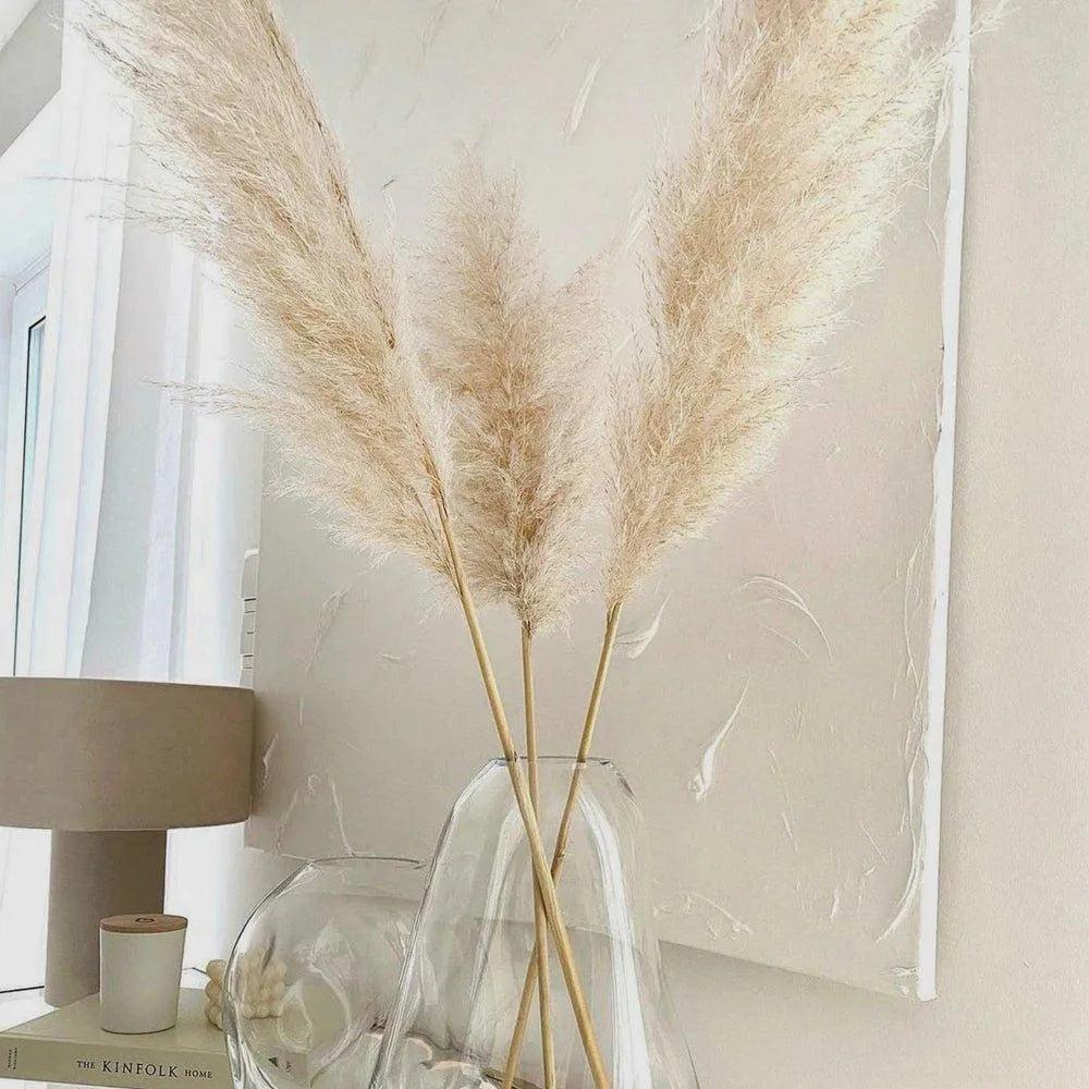 80 cm Natural Real Dried Pampas Grass Bouquet (White / Beige / Gray) │ Fluffy Feather For Modern Boho Home Decoration Ornament - Besontique Home