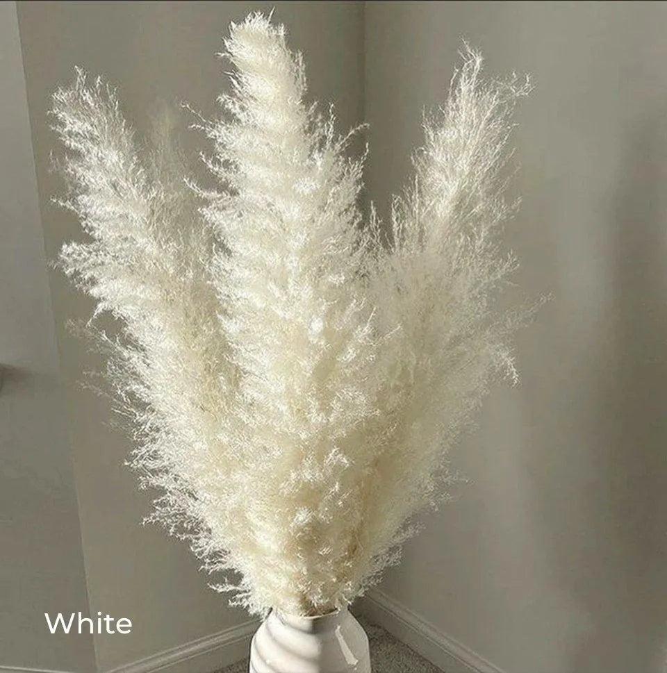80 cm Natural Real Dried Pampas Grass Bouquet (White / Beige / Gray) │ Fluffy Feather For Modern Boho Home Decoration Ornament - Besontique Home