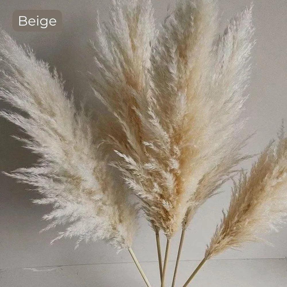 80 cm Natural Real Dried Pampas Grass Bouquet (White / Beige / Gray) │ Fluffy Feather For Modern Boho Home Decoration Ornament - Besontique Home