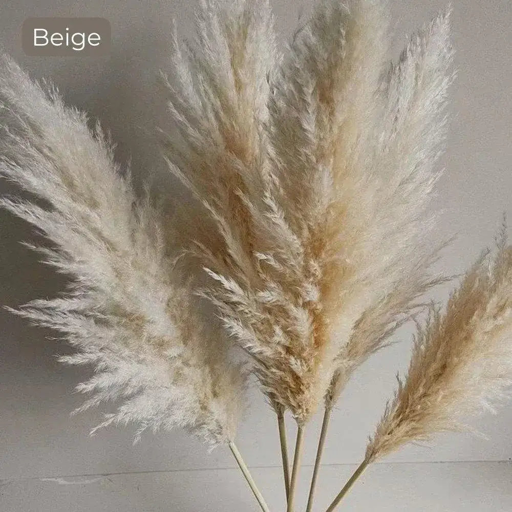 80-cm-natural-real-dried-pampas-grass-bouquet-white-beige-gray-fluffy-feather-for-modern-boho-home-decoration-ornament-besontique-home-82910 - Besontique Home