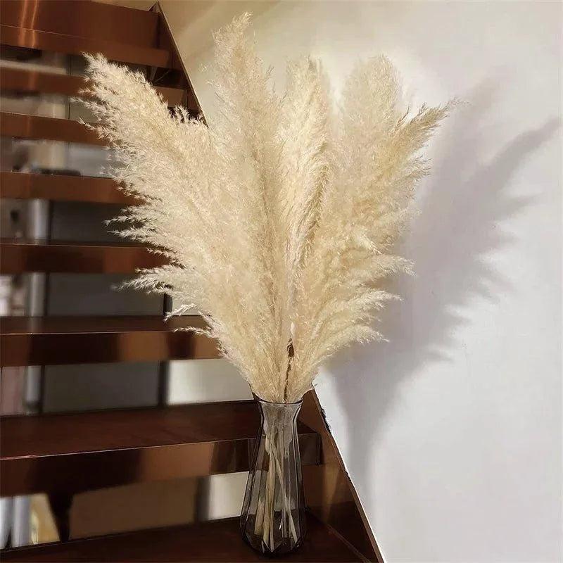 80 cm Natural Real Dried Pampas Grass Bouquet (White / Beige / Gray) │ Fluffy Feather For Modern Boho Home Decoration Ornament - Besontique Home