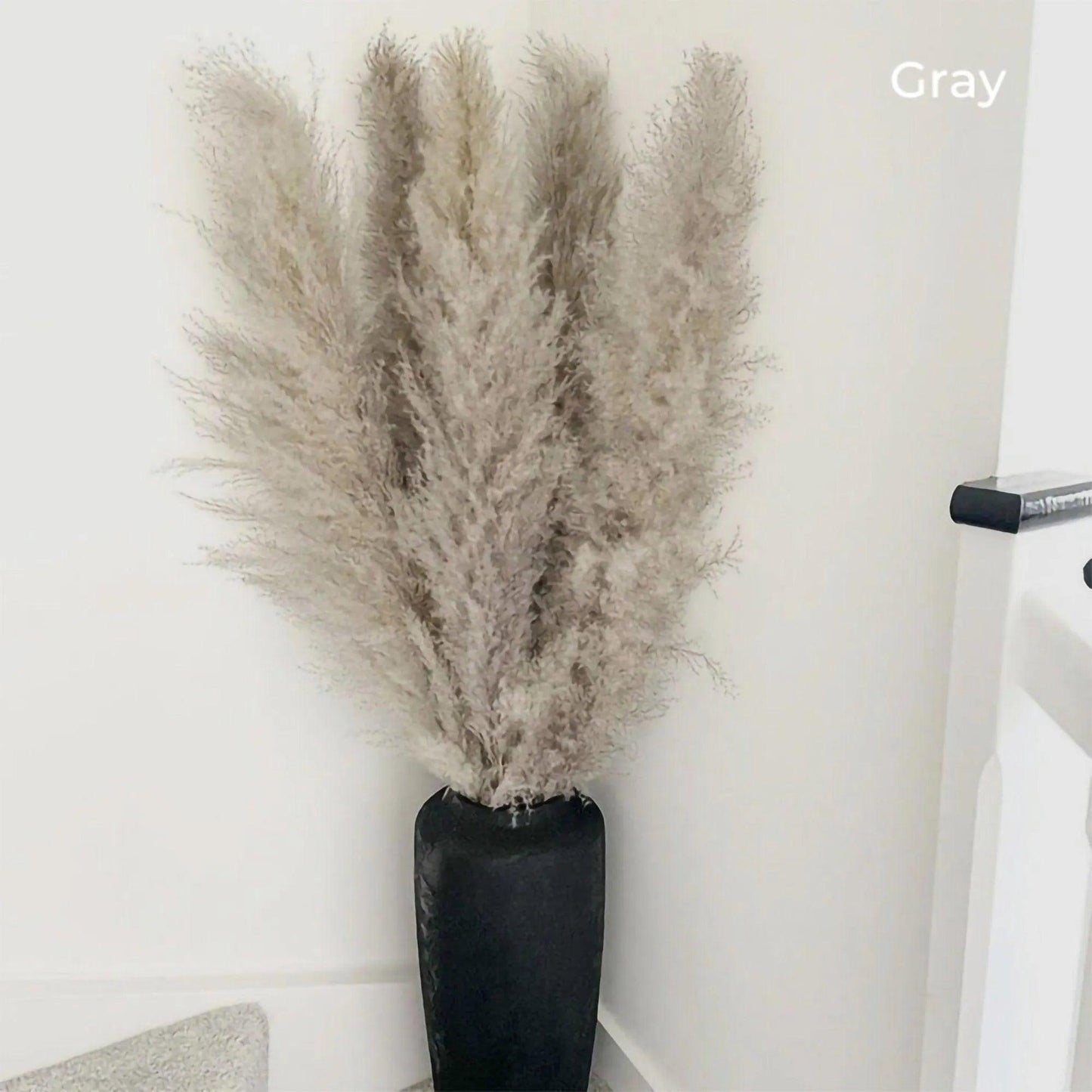 80 cm Natural Real Dried Pampas Grass Bouquet (White / Beige / Gray) │ Fluffy Feather For Modern Boho Home Decoration Ornament - Besontique Home