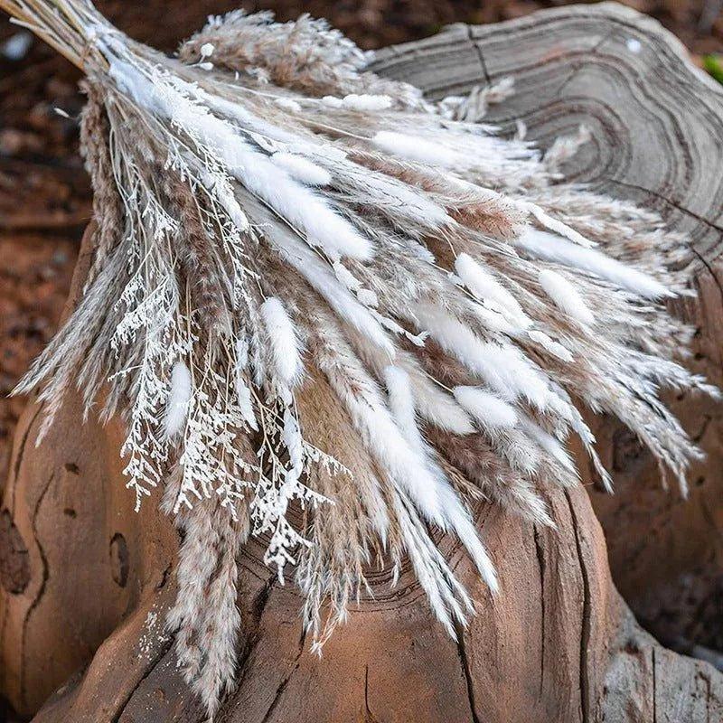 80 pcs (white / brown / beige mix) Natural Dried Pampas Grass │ Premium Dry Bouquet for Modern Boho Home Decoration - Besontique Home