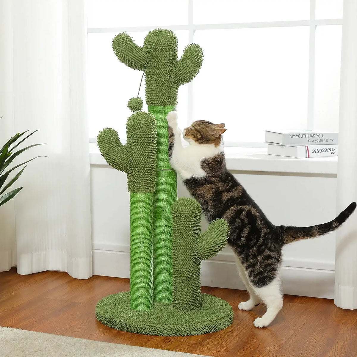 cactus-cat-scratching-post-with-interactive-dangling-ball-or-pet-friendly-cat-scratcher-furniture-besontique-home-33072 - Besontique Home