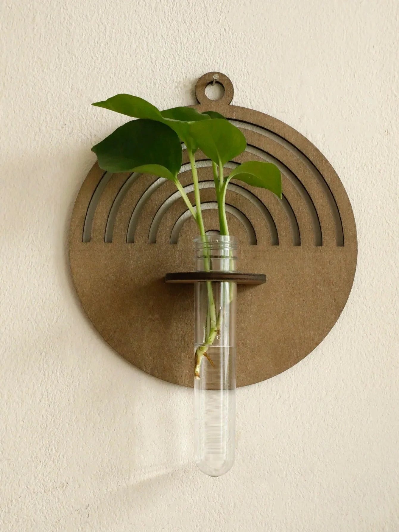 Modern Boho Wood Wall Mounted Hanging Vase │ Hydroponic Transparent Glass Tube Plant Holder - Besontique Home