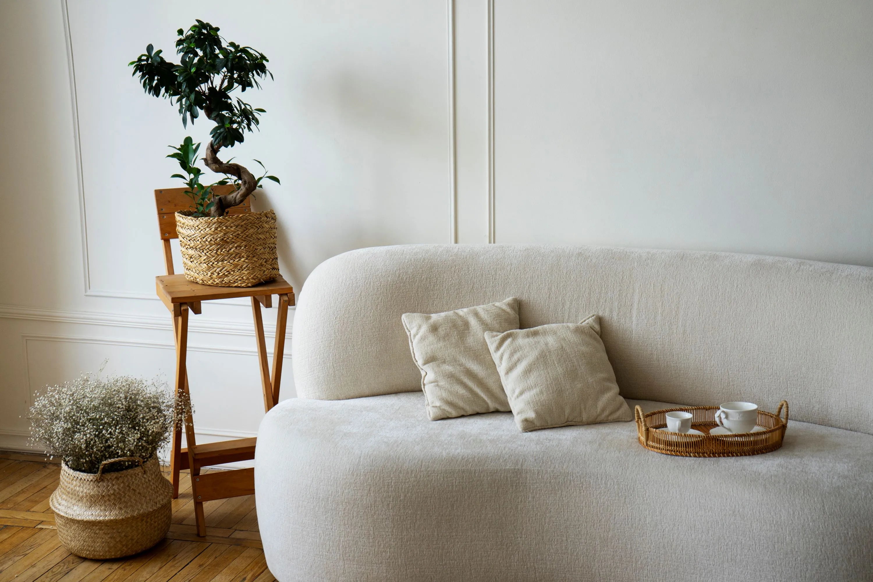 room-decor-with-potted-plants-sofa besontique home modern boho decor