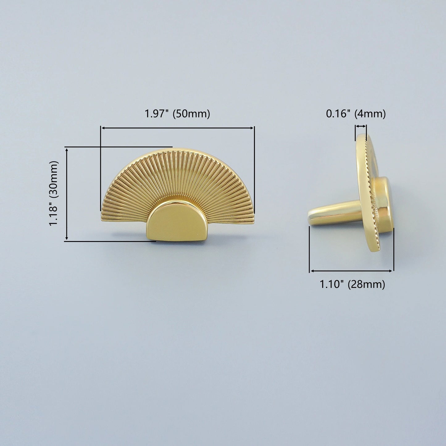 Solid Brass Fan Shaped Furniture Door Knob │ Polished Gold Kitchen Cabinet Handles - Besontique Home