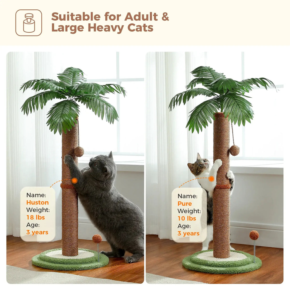 tropical-tree-sisal-cat-scratching-post-with-hangling-ball-or-pet-friendly-cat-scratcher-toy-furniture-besontique-home-83998 - Besontique Home