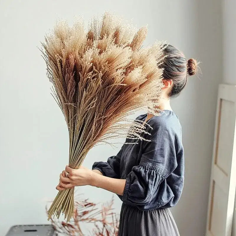 natural-style-real-dried-pampas-reed-grass-dried-plants-home-decoration-accessories-dry-flower-bunch-besontique-home-37390 - Besontique Home