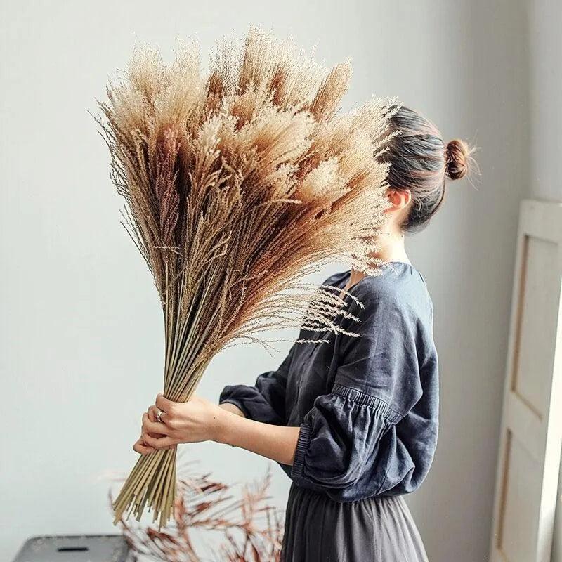 Natural Style Real Dried Pampas Reed Grass │ Dried Plants Home Decoration Accessories │ Dry Flower Bunch - Besontique Home