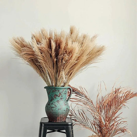 Natural Style Real Dried Pampas Reed Grass │ Dried Plants Home Decoration Accessories │ Dry Flower Bunch - Besontique Home