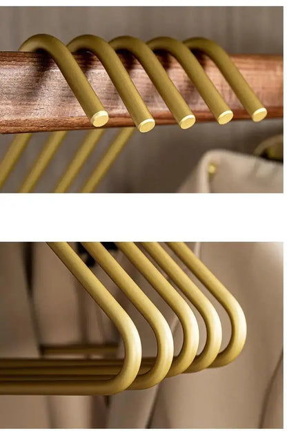 5 pcs Solid Matte Gold/Silver Triangle Coat Pants Clothes Hanger │ Seamless Metal Storage Racks Wardrobe Organizer - Besontique Home