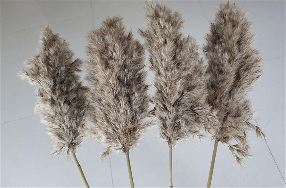 60cm Natural Real Brown Beige Dried Pampas Grass Bouquet │ Fluffy Feather For Modern Boho Home Decoration Ornament - Besontique