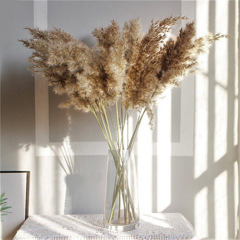 60cm Natural Real Brown Beige Dried Pampas Grass Bouquet │ Fluffy Feather For Modern Boho Home Decoration Ornament - Besontique