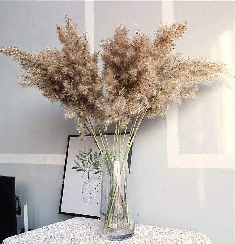 60cm Natural Real Brown Beige Dried Pampas Grass Bouquet │ Fluffy Feather For Modern Boho Home Decoration Ornament - Besontique Home