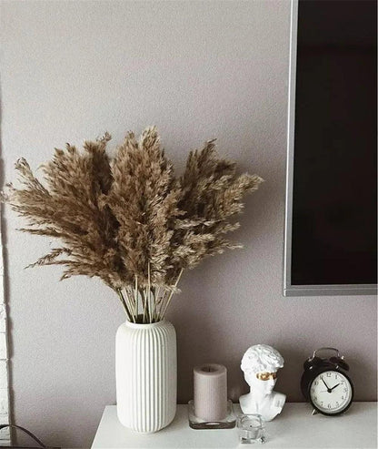 60cm Natural Real Brown Beige Dried Pampas Grass Bouquet │ Fluffy Feather For Modern Boho Home Decoration Ornament - Besontique Home