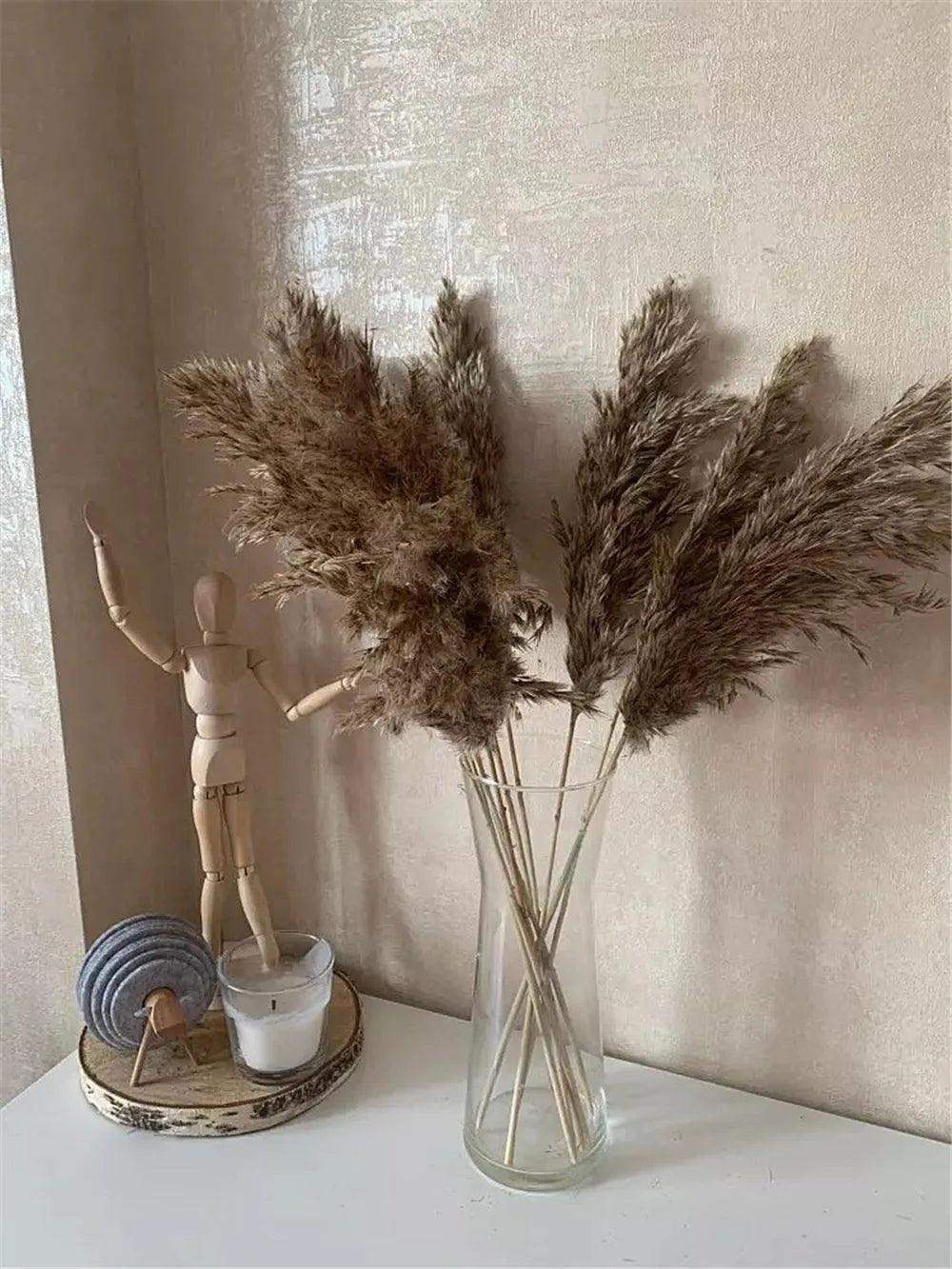60cm Natural Real Brown Beige Dried Pampas Grass Bouquet │ Fluffy Feather For Modern Boho Home Decoration Ornament - Besontique Home