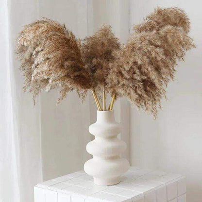 60cm Natural Real Brown Beige Dried Pampas Grass Bouquet │ Fluffy Feather For Modern Boho Home Decoration Ornament - Besontique Home