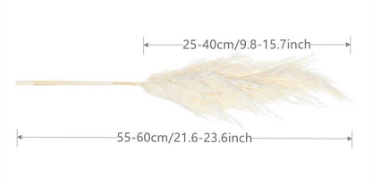 60cm Real Cream White Dried Pampas Grass Bouquet │ Fluffy Feather For Modern Boho Home Decoration Ornament - Besontique