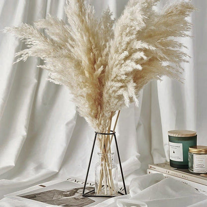 60cm Real Cream White Dried Pampas Grass Bouquet │ Fluffy Feather For Modern Boho Home Decoration Ornament - Besontique