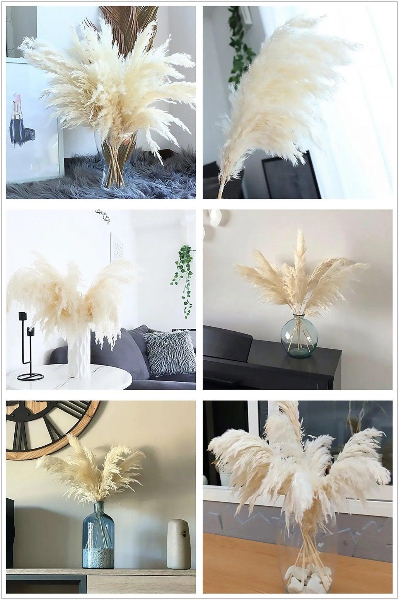 60cm Real Cream White Dried Pampas Grass Bouquet │ Fluffy Feather For Modern Boho Home Decoration Ornament - Besontique Home