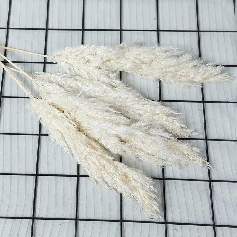 60cm Real Cream White Dried Pampas Grass Bouquet │ Fluffy Feather For Modern Boho Home Decoration Ornament - Besontique Home