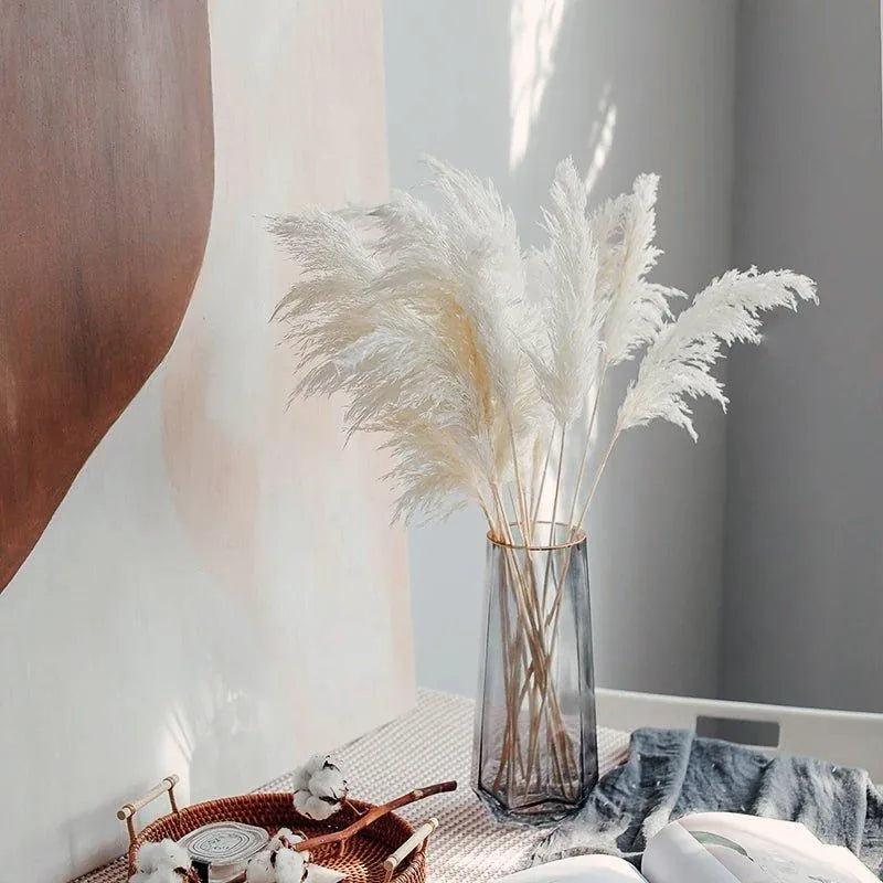 60cm Real Cream White Dried Pampas Grass Bouquet │ Fluffy Feather For Modern Boho Home Decoration Ornament - Besontique Home
