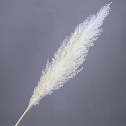 60cm Real Cream White Dried Pampas Grass Bouquet │ Fluffy Feather For Modern Boho Home Decoration Ornament - Besontique Home